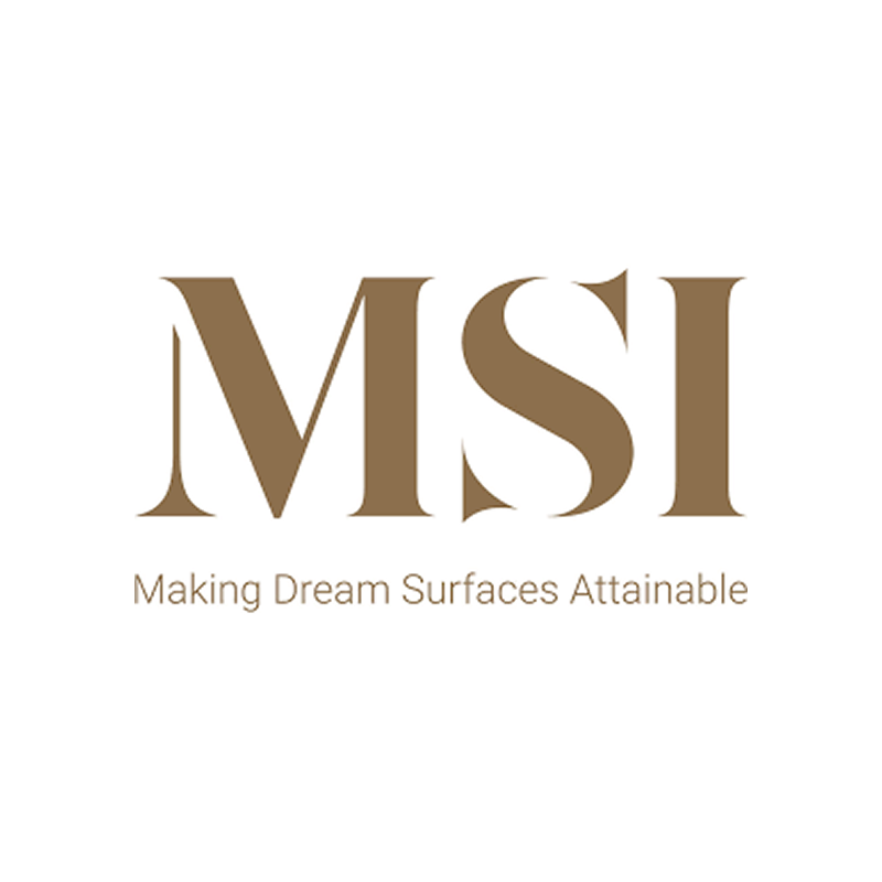 MSI logo
